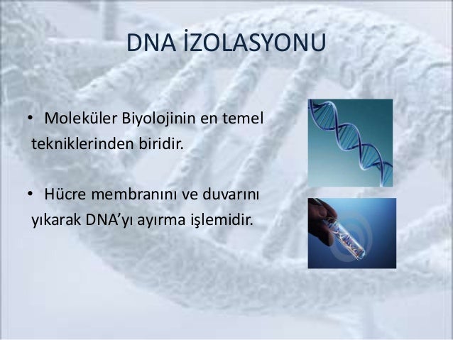 slideshare
