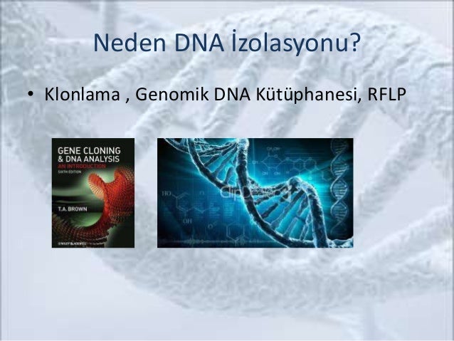 slideshare