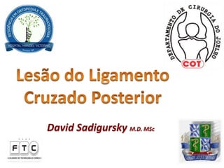 David Sadigursky M.D. MSc
 