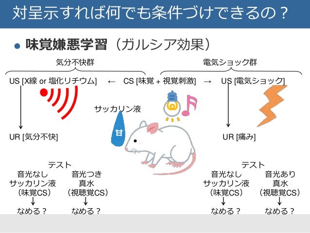 制止学習理論とエクスポージャー療法