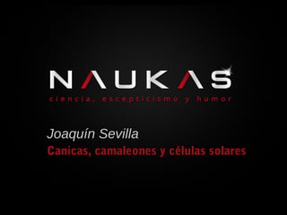 Joaquín Sevilla
Canicas, camaleones y células solares
 