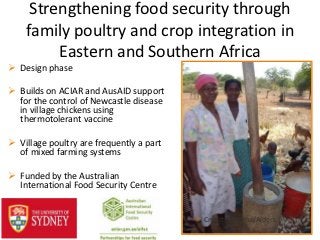 Strengthening food security through
    family poultry and crop integration in
         Eastern and Southern Africa
 Design phase

 Builds on ACIAR and AusAID support
  for the control of Newcastle disease
  in village chickens using
  thermotolerant vaccine

 Village poultry are frequently a part
  of mixed farming systems

 Funded by the Australian
  International Food Security Centre


                                          Credit: Kyeema/Alders
 