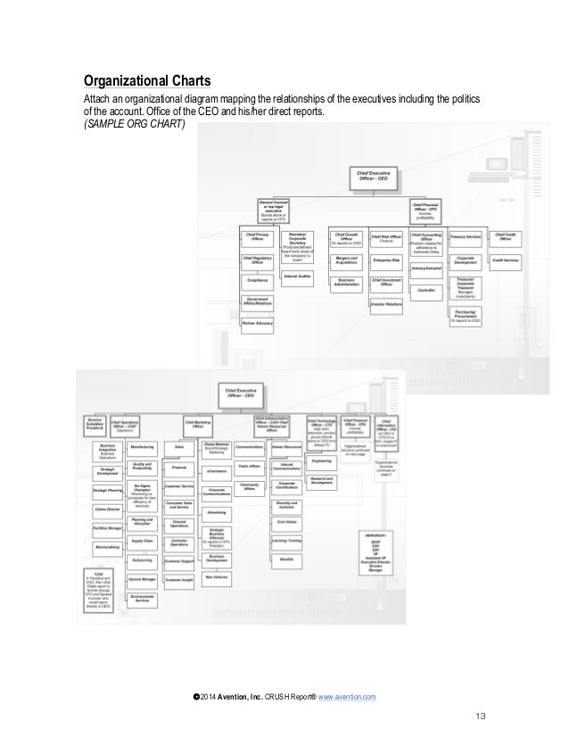 Strategic Account Plan Template