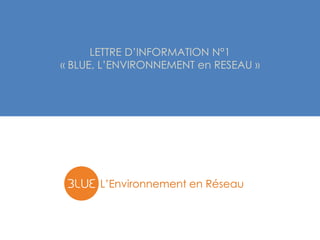 LETTRE D’INFORMATION N°1
« BLUE, L’ENVIRONNEMENT en RESEAU »




       L’Environnement en Réseau
 