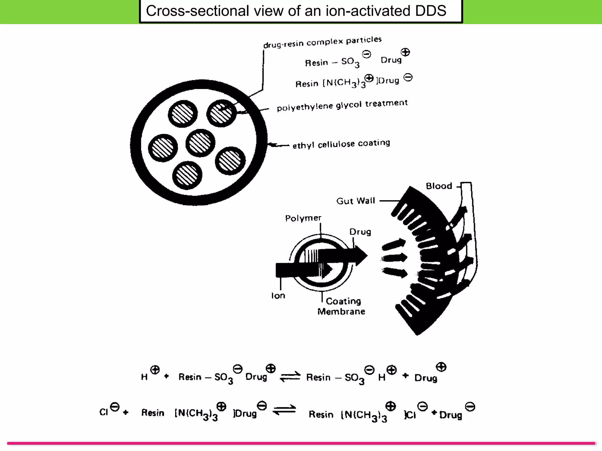 Cross-sectional view of an ion-activated DDS
 