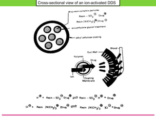 Cross-sectional view of an ion-activated DDS
 