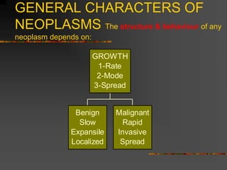 GENERAL CHARACTERS OF
NEOPLASMS The structure & behaviour of any
neoplasm depends on:
Benign
Slow
Expansile
Localized
Malignant
Rapid
Invasive
Spread
GROWTH
1-Rate
2-Mode
3-Spread
 