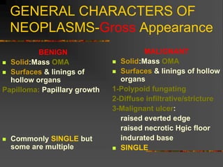 GENERAL CHARACTERS OF
NEOPLASMS-Gross Appearance
BENIGN
 Solid:Mass OMA
 Surfaces & linings of
hollow organs
Papilloma: Papillary growth
 Commonly SINGLE but
some are multiple
MALIGNANT
 Solid:Mass OMA
 Surfaces & linings of hollow
organs
1-Polypoid fungating
2-Diffuse infiltrative/stricture
3-Malignant ulcer:
raised everted edge
raised necrotic Hgic floor
indurated base
 SINGLE
 
