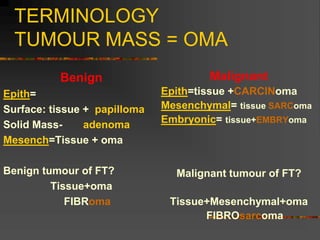 TERMINOLOGY
TUMOUR MASS = OMA
Benign
Epith=
Surface: tissue + papilloma
Solid Mass- adenoma
Mesench=Tissue + oma
Benign tumour of FT?
Tissue+oma
FIBRoma
Malignant
Epith=tissue +CARCINoma
Mesenchymal= tissue SARComa
Embryonic= tissue+EMBRYoma
Malignant tumour of FT?
Tissue+Mesenchymal+oma
FIBROsarcoma
 