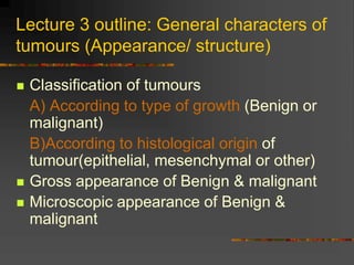 Lecture 3 outline: General characters of
tumours (Appearance/ structure)
 Classification of tumours
A) According to type of growth (Benign or
malignant)
B)According to histological origin of
tumour(epithelial, mesenchymal or other)
 Gross appearance of Benign & malignant
 Microscopic appearance of Benign &
malignant
 