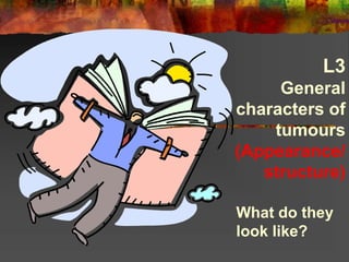 L3
General
characters of
tumours
(Appearance/
structure)
What do they
look like?
 