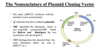 • The name ‘pBR322’ conforms with the
standard vector nomenclature.
• ‘p’ indicates that this is indeed a plasmid
• ‘BR’ identified the laboratory where it
was originally constructed (BR stands
for Bolivar and Rodriguez the two
researchers who developed it.
• ‘322’ distinguishes this plasmid from the
same laboratory (there are also p
pBR327 etc.)
The Nomenclature of Plasmid Cloning Vector
 