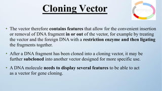 • The vector therefore contains features that allow for the convenient insertion
or removal of DNA fragment in or out of the vector, for example by treating
the vector and the foreign DNA with a restriction enzyme and then ligating
the fragments together.
• After a DNA fragment has been cloned into a cloning vector, it may be
further subcloned into another vector designed for more specific use.
• A DNA molecule needs to display several features to be able to act
as a vector for gene cloning.
Cloning Vector
 