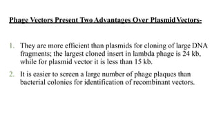 Phage Vectors Present TwoAdvantages Over PlasmidVectors-
1. They are more efficient than plasmids for cloning of large DNA
fragments; the largest cloned insert in lambda phage is 24 kb,
while for plasmid vector it is less than 15 kb.
2. It is easier to screen a large number of phage plaques than
bacterial colonies for identification of recombinant vectors.
 