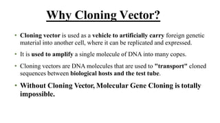 • Cloning vector is used as a vehicle to artificially carry foreign genetic
material into another cell, where it can be replicated and expressed.
• It is used to amplify a single molecule of DNA into many copes.
• Cloning vectors are DNA molecules that are used to "transport" cloned
sequences between biological hosts and the test tube.
• Without Cloning Vector, Molecular Gene Cloning is totally
impossible.
Why Cloning Vector?
 