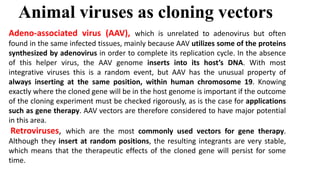 Animal viruses as cloning vectors
Adeno-associated virus (AAV), which is unrelated to adenovirus but often
found in the same infected tissues, mainly because AAV utilizes some of the proteins
synthesized by adenovirus in order to complete its replication cycle. In the absence
of this helper virus, the AAV genome inserts into its host’s DNA. With most
integrative viruses this is a random event, but AAV has the unusual property of
always inserting at the same position, within human chromosome 19. Knowing
exactly where the cloned gene will be in the host genome is important if the outcome
of the cloning experiment must be checked rigorously, as is the case for applications
such as gene therapy. AAV vectors are therefore considered to have major potential
in this area.
Retroviruses, which are the most commonly used vectors for gene therapy.
Although they insert at random positions, the resulting integrants are very stable,
which means that the therapeutic effects of the cloned gene will persist for some
time.
 