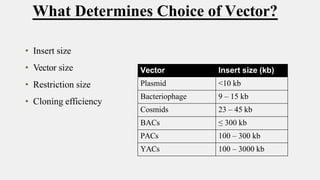 • Insert size
• Vector size
• Restriction size
• Cloning efficiency
What Determines Choice of Vector?
Vector Insert size (kb)
Plasmid <10 kb
Bacteriophage 9 – 15 kb
Cosmids 23 – 45 kb
BACs ≤ 300 kb
PACs 100 – 300 kb
YACs 100 – 3000 kb
 