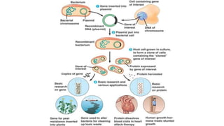 Lecture_3-Vectors.pdf