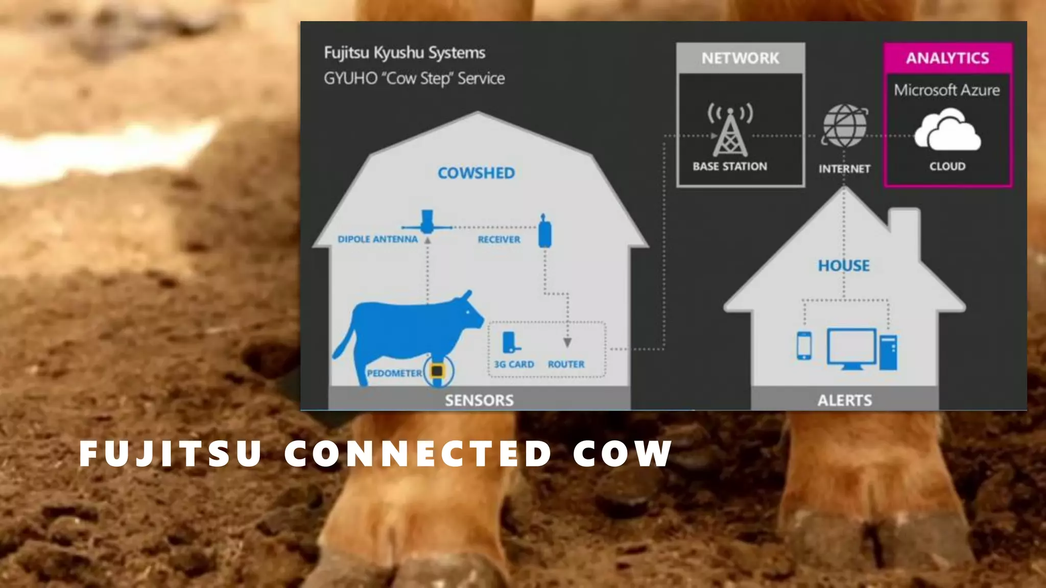 F U J I T S U C O N N E C T E D C O W
 