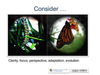 Consider …Clarity, focus, perspective, adaptation, evolution