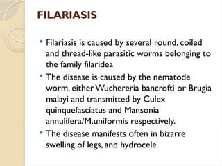 FILARIASIS
 Filariasis is caused by several round, coiled
and thread-like parasitic worms belonging to
the family filaridea
 The disease is caused by the nematode
worm, either Wuchereria bancrofti or Brugia
malayi and transmitted by Culex
quinquefasciatus and Mansonia
annulifera/M.uniformis respectively.
 The disease manifests often in bizarre
swelling of legs, and hydrocele
 