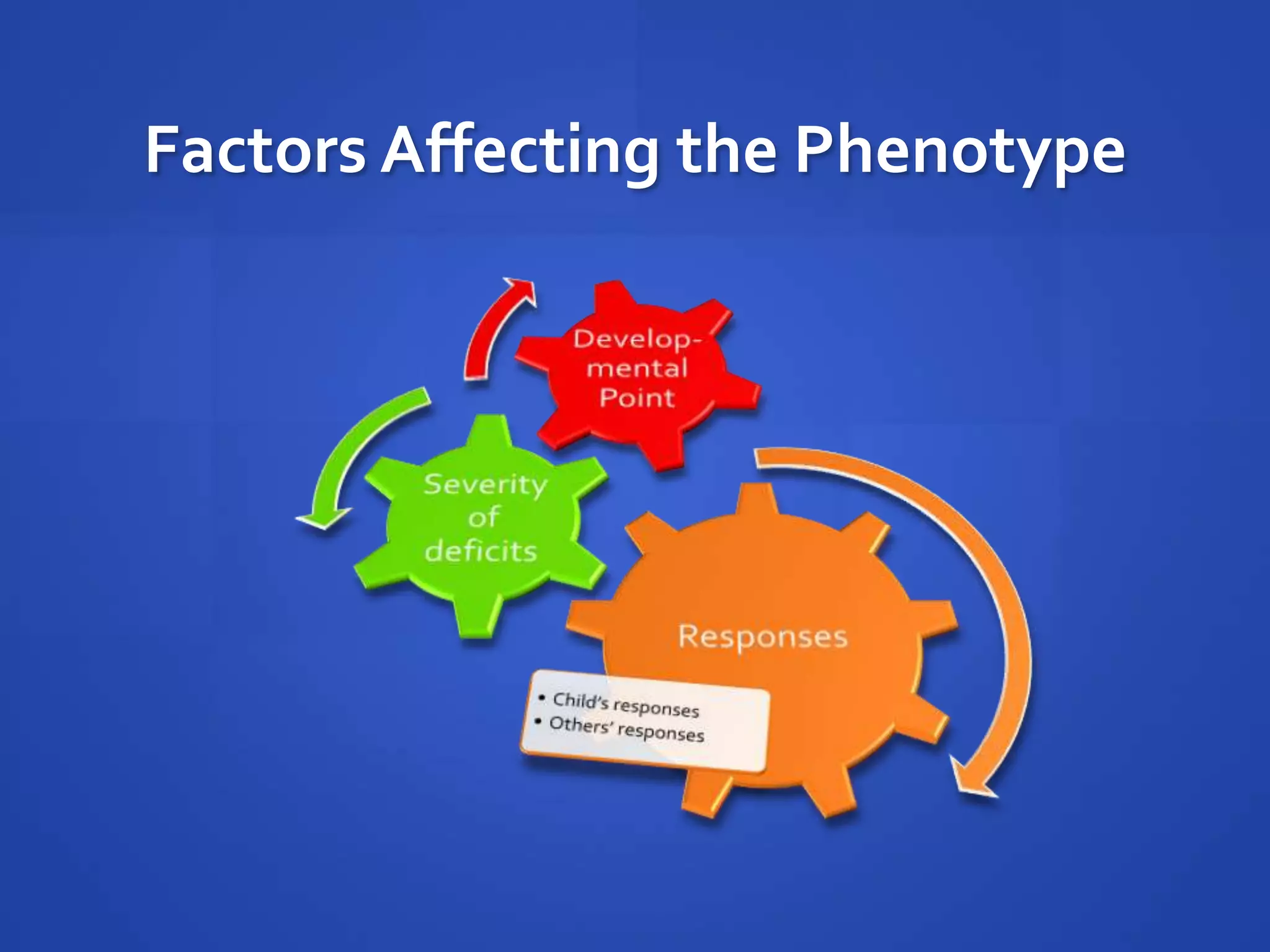 Factors Affecting the Phenotype