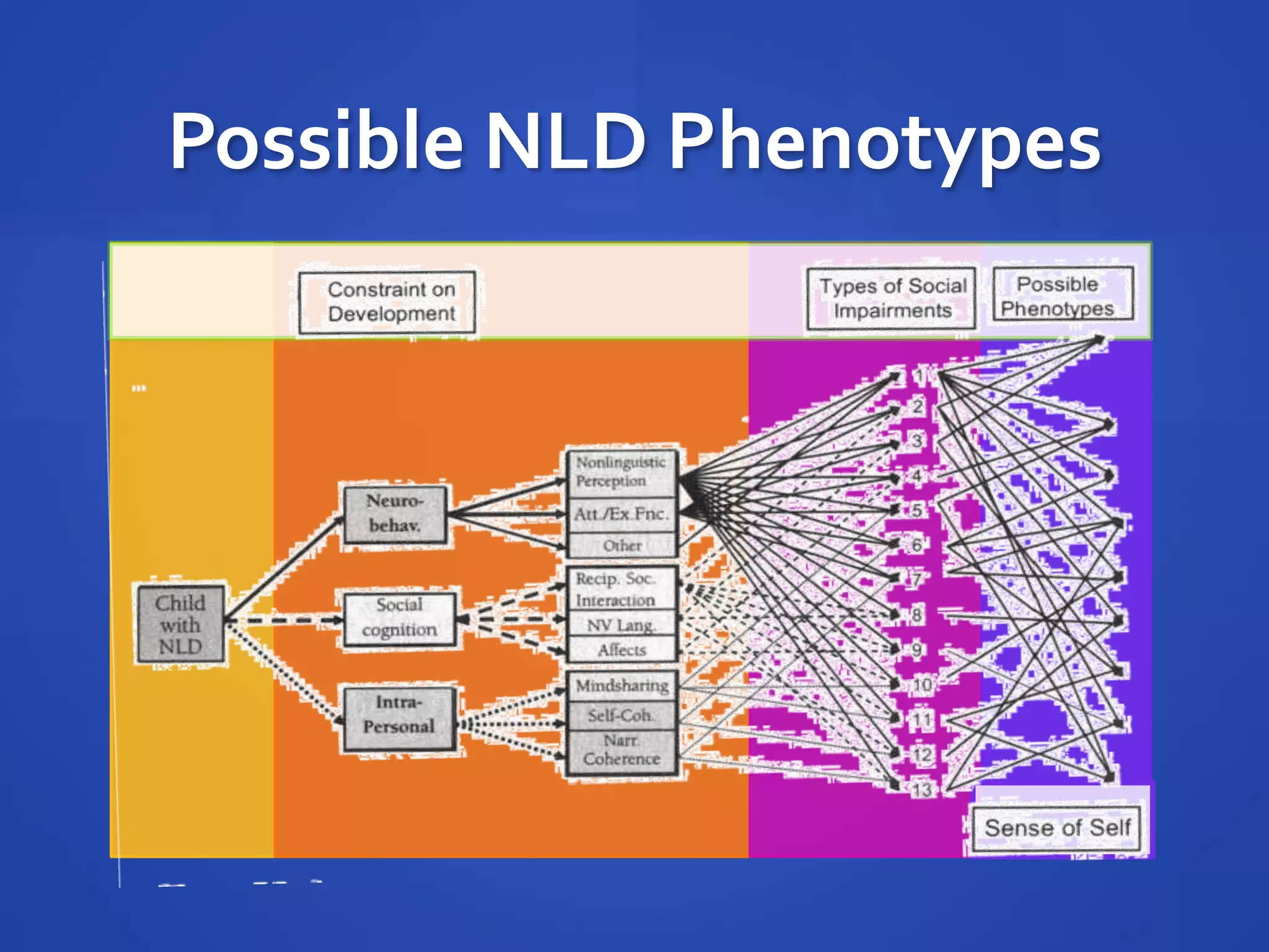Possible NLD Phenotypes
