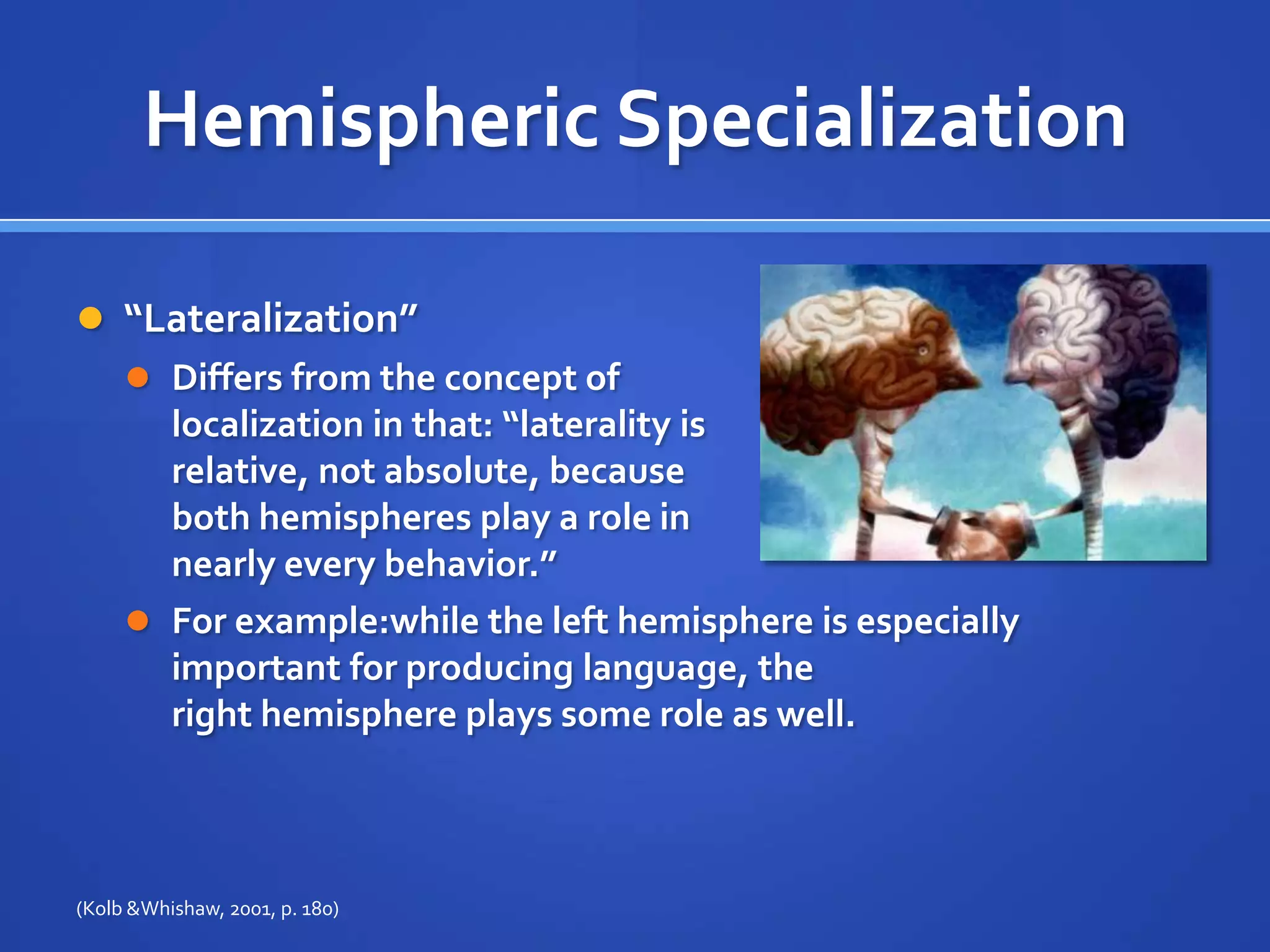 Hemispheric Specialization“Lateralization”Differs from the concept of localization in that: “laterality is relative, not absolute, because both hemispheres play a role in nearly every behavior.”For example:while the left hemisphere is especially important for producing language, the right hemisphere plays some role as well.(Kolb & Whishaw, 2001, p. 180)