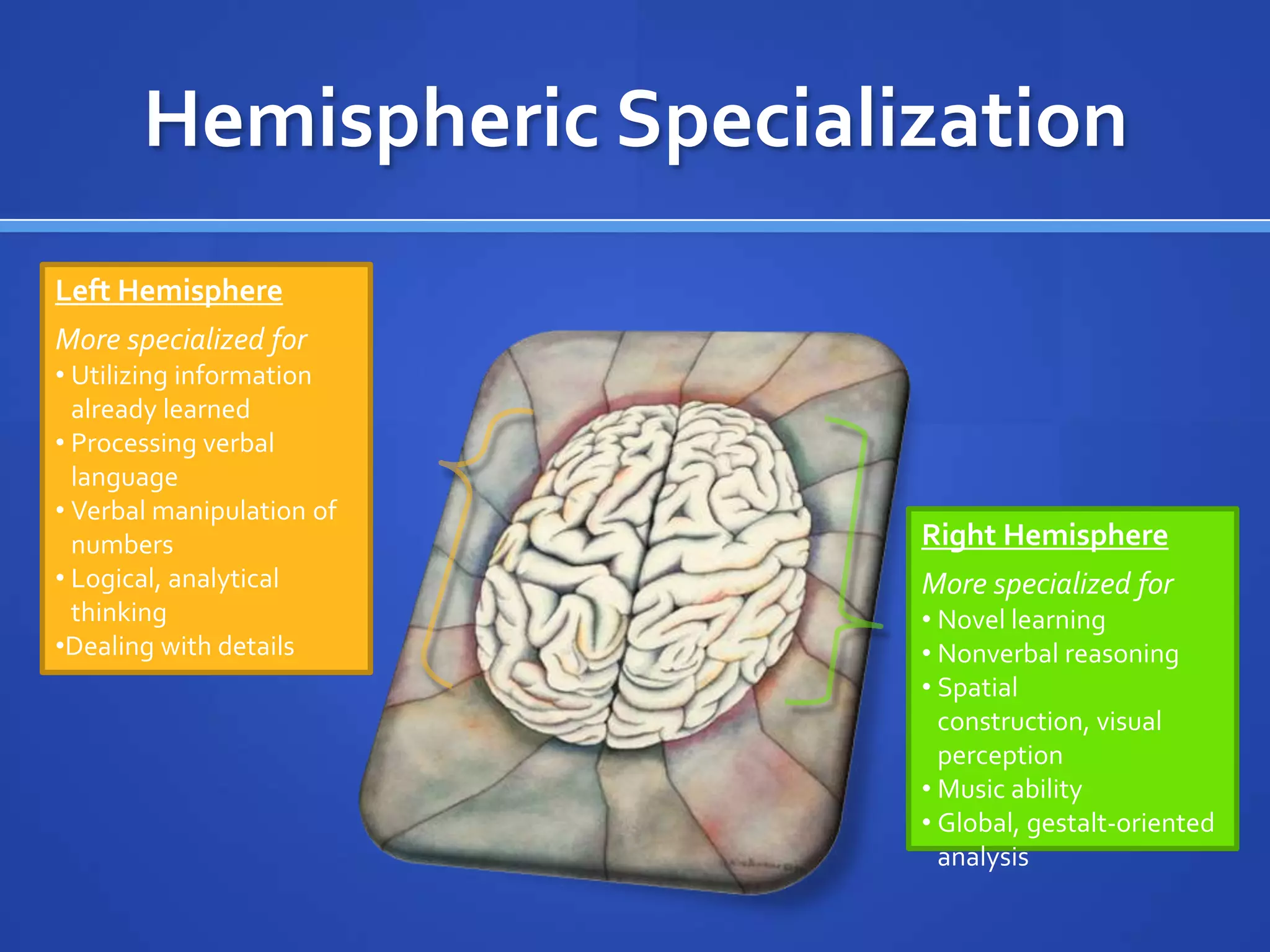 Hemispheric SpecializationLeft HemisphereMore specialized forUtilizing information already learned
