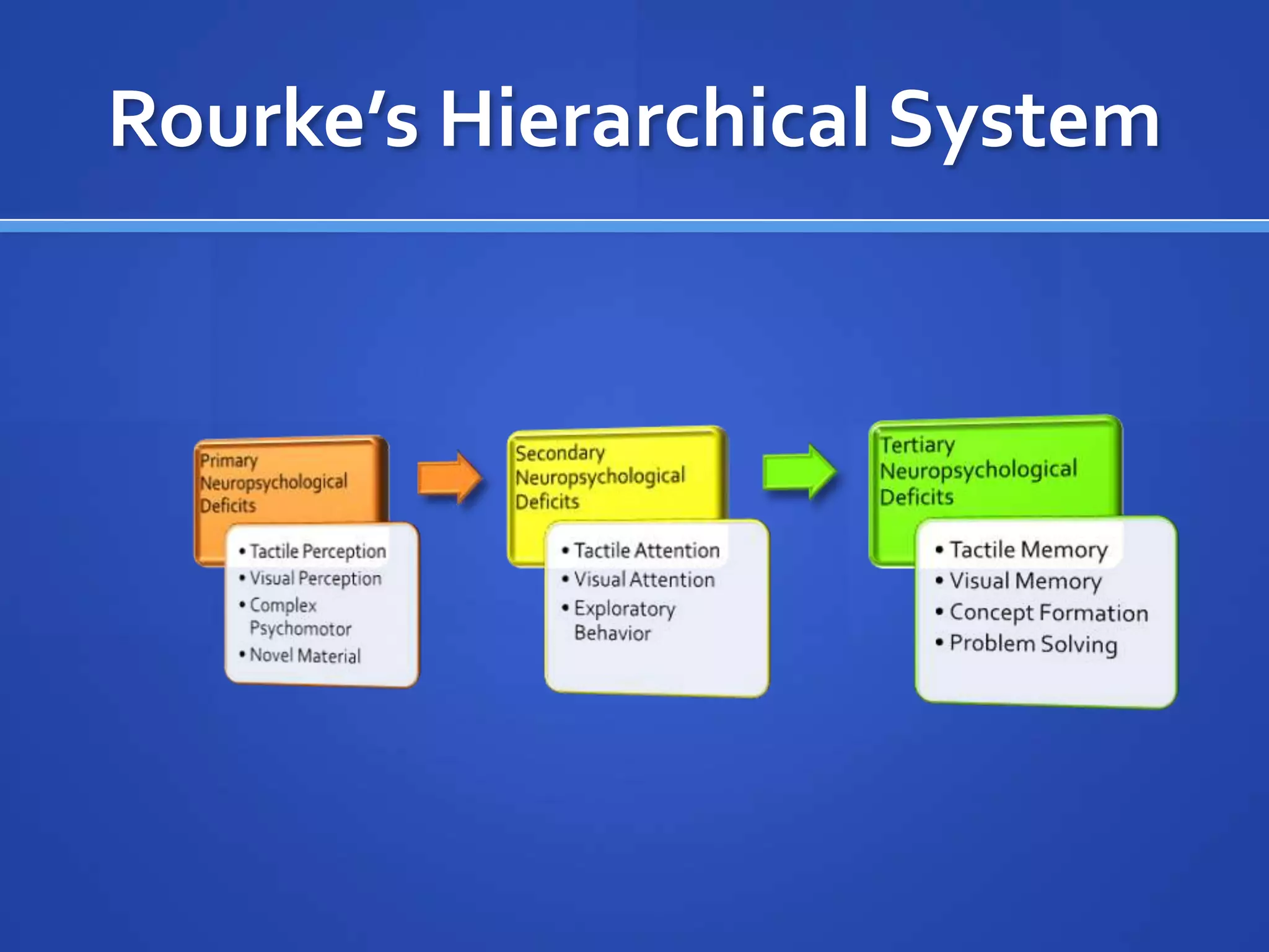 Rourke’s Hierarchical System 