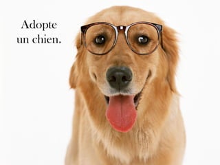 Adopte un chien. 