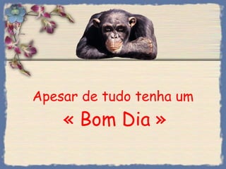 Apesar de tudo tenha um   « Bom Dia » 