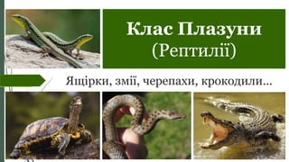 Клас Плазуни
(Рептилії)
Ящірки, змії, черепахи, крокодили…
 