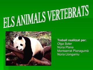 Treball realitzat per: Olga Soler Núria Plana Montserrat Planagumà Núria Llongarriu ELS ANIMALS VERTEBRATS 