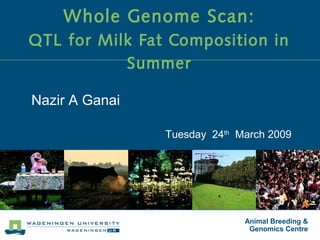 Animal Breeding &
Genomics Centre
Whole Genome Scan:
QTL for Milk Fat Composition in
Summer
Nazir A Ganai
Tuesday 24th
March 2009
 
