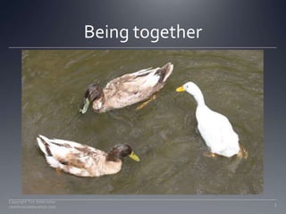 Being together<br />3<br />Copyright Tim Jones 2010   communicatescience.com<br />