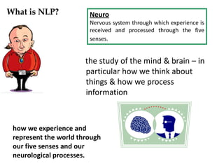 What is NLP?            Neuro
                        Nervous system through which experience is
                        received and processed through the five
                        senses.


                       the study of the mind & brain – in
                       particular how we think about
                       things & how we process
                       information



 how we experience and
 represent the world through
 our five senses and our
 neurological processes.
 