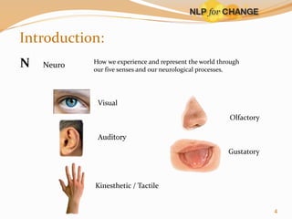 Introduction:
N

Neuro

How we experience and represent the world through
our five senses and our neurological processes.

Visual
Olfactory
Auditory
Gustatory

Kinesthetic / Tactile

4

 