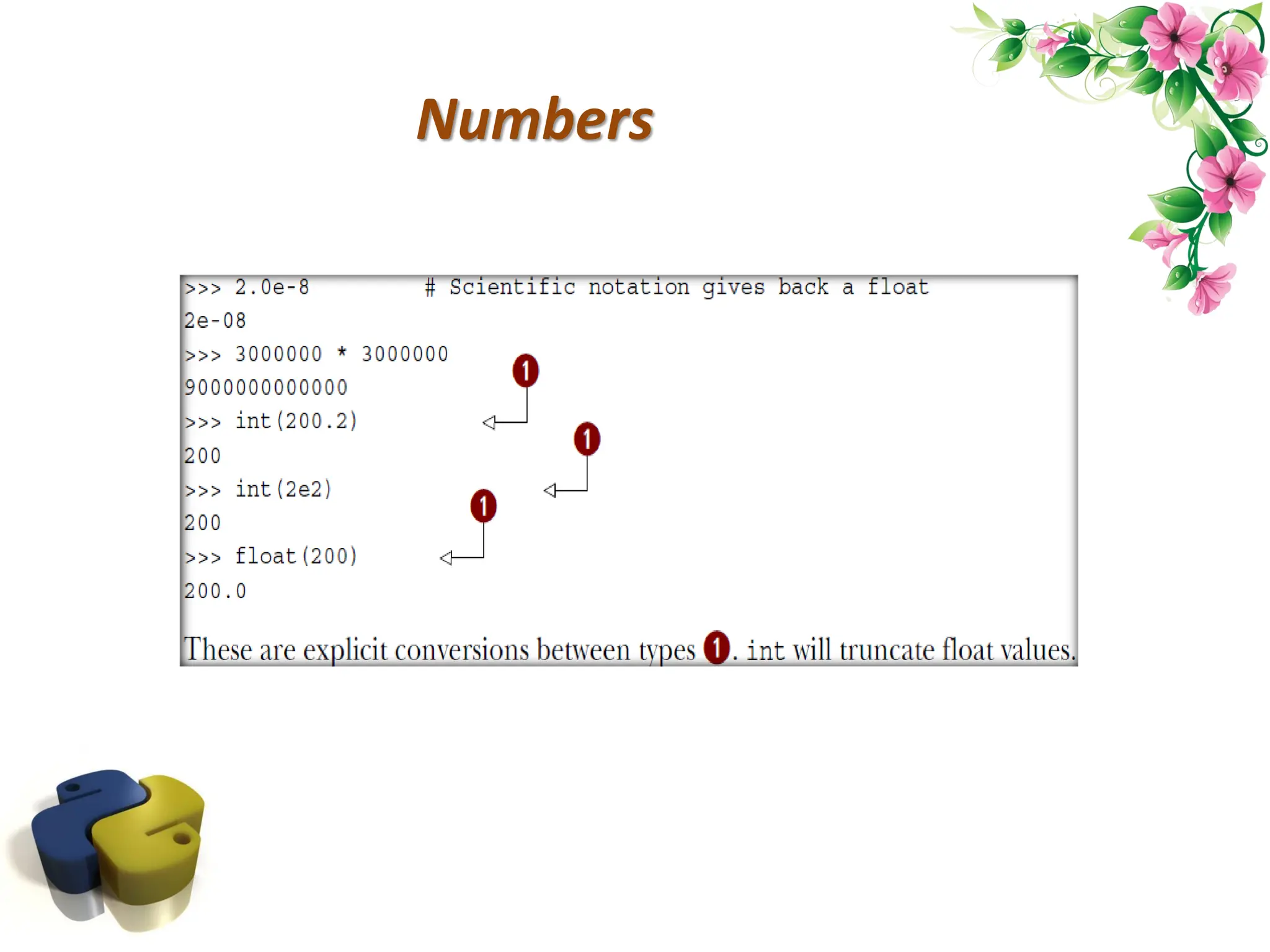 Numbers 