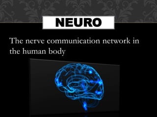 The nerve communication network in
the human body
NEURO
 