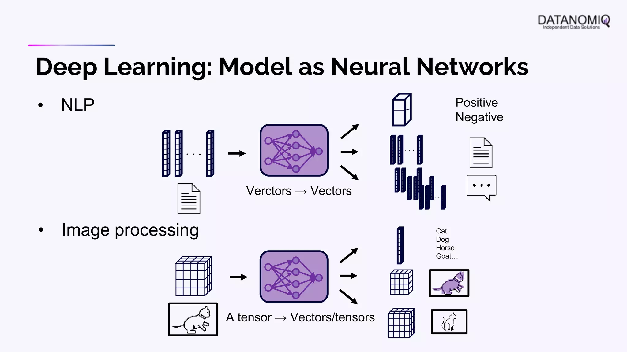 Deep Learning: Model as Neural Networks
• NLP
Verctors → Vectors
A tensor → Vectors/tensors
Positive
Negative
Cat
Dog
Horse
Goat…
• Image processing
 