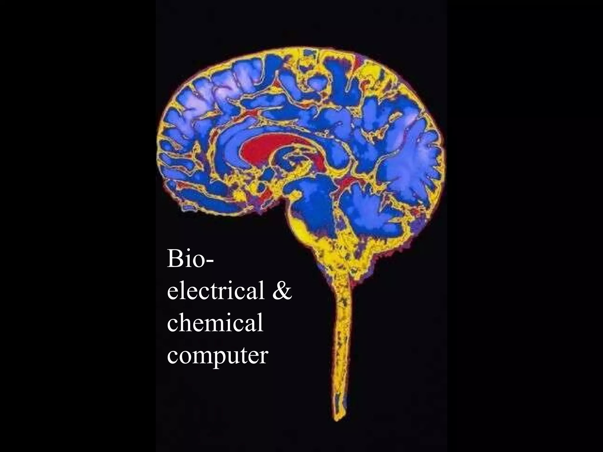 Bio-electrical & chemical computer 