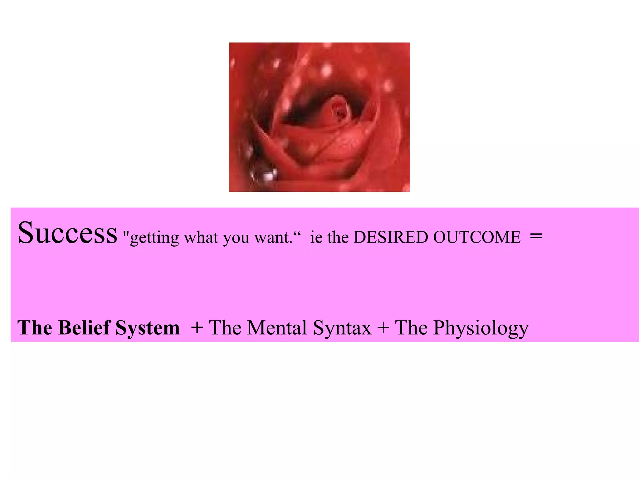 Success   "getting what you want.“   ie the DESIRED OUTCOME   =  The Belief System   +  The Mental Syntax  +  The Physiology 