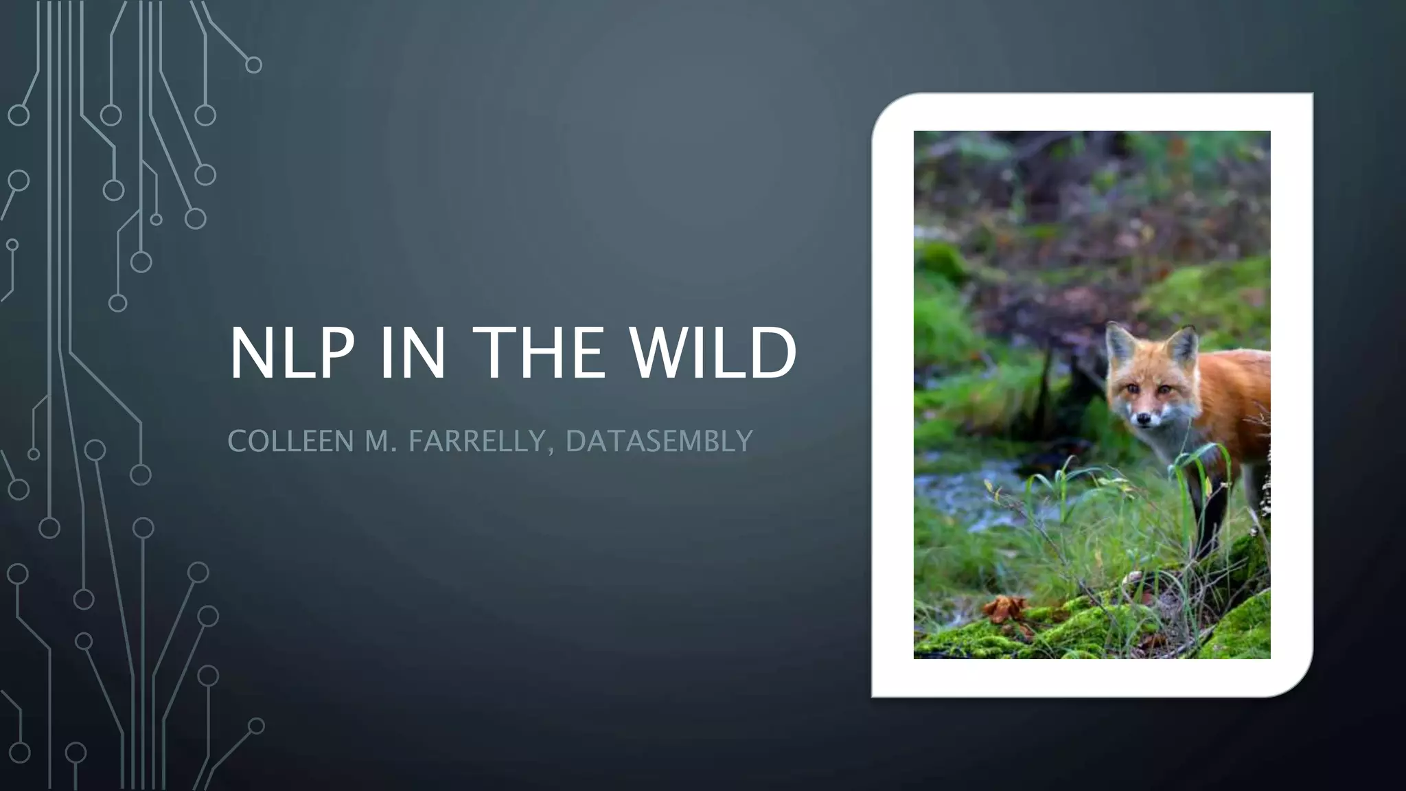 NLP IN THE WILD
COLLEEN M. FARRELLY, DATASEMBLY
 