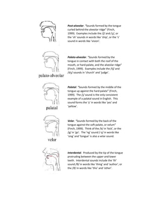 Post-alveolar. “Sounds formed by the tongue
curled behind the alveolar ridge” (Finch,
1999). Examples include the /ʃ/ and /ʒ/, or
the ‘sh’ sounds in words like ‘ship’, or the ‘s’
sound in words like ‘vision’.
Palato-alveolar. “Sounds formed by the
tongue in contact with both the roof of the
mouth, or hard palate, and the alveolar ridge”
(Finch, 1999). Examples include the /tʃ/ and
/dʒ/ sounds in ‘church’ and ‘judge’.
Palatal. “Sounds formed by the middle of the
tongue up against the hard palate” (Finch,
1999). The /j/ sound is the only consistent
example of a palatal sound in English. This
sound forms the ‘y’ in words like ‘yes’ and
‘yellow’.
Velar. “Sounds formed by the back of the
tongue against the soft palate, or velum”
(Finch, 1999). Think of the /k/ in ‘kick’, or the
/g/ in ‘go’. The ‘ng’ sound / ŋ/ in words like
‘sing’ and ‘tongue’ is also a velar sound.
Interdental. Produced by the tip of the tongue
protruding between the upper and lower
teeth. Interdental sounds include the ‘th’
sound /θ/ in words like ‘thing’ and ‘author’, or
the /ð/ in words like ‘this’ and ‘other’.
 