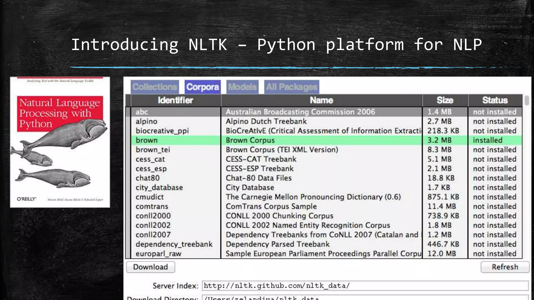 Introducing NLTK – Python platform for NLP 