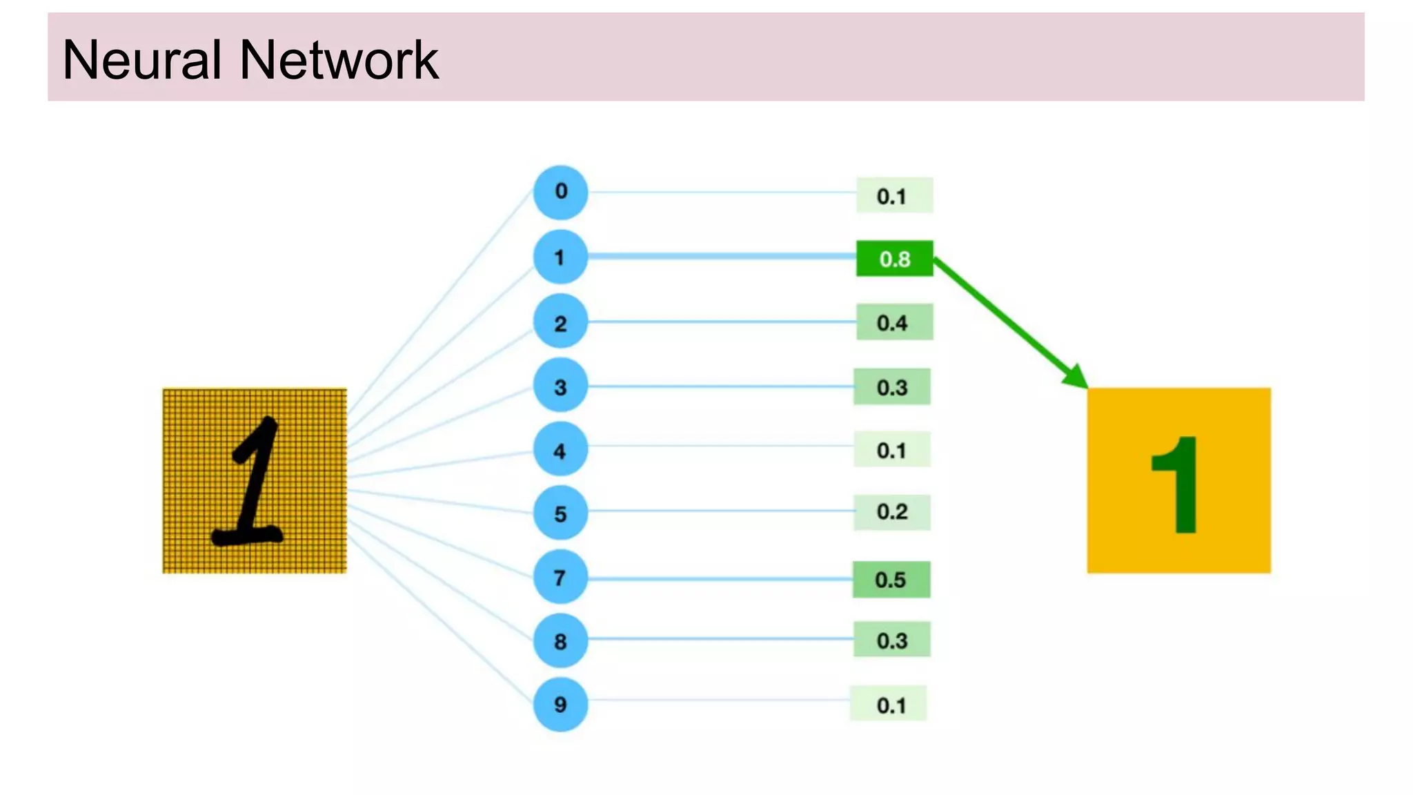 Neural Network
 