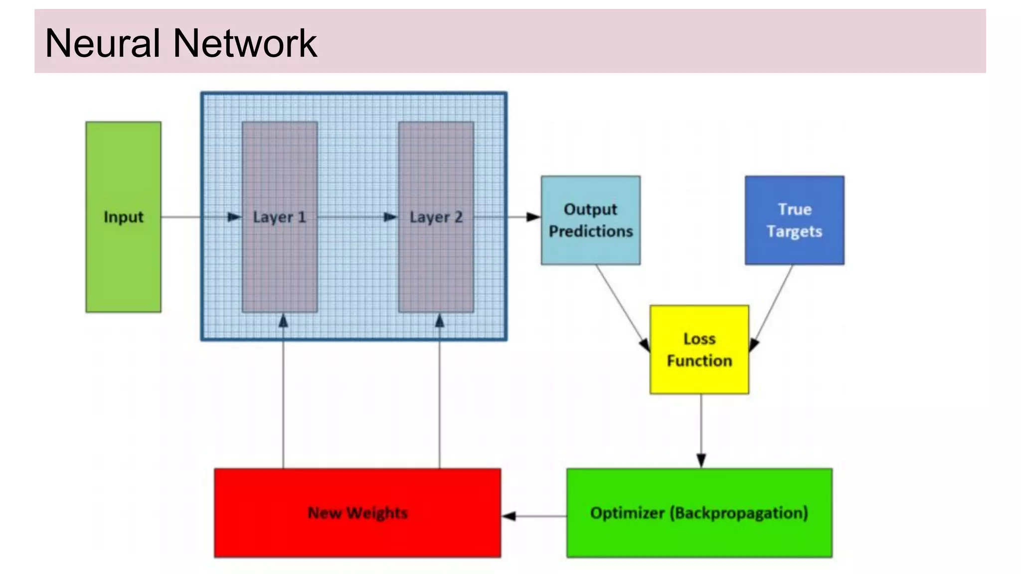 Neural Network
 