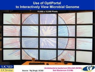 Use of OptIPortal  to Interactively View Microbial Genome Source:  Raj Singh, UCSD Acidobacteria bacterium Ellin345 (NCBI) Soil Bacterium 5.6 Mb 15,000 x 15,000 Pixels 