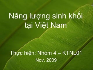 Năng lượng sinh khốitại Việt Nam Thực hiện: Nhóm 4 – KTNL01 Nov. 2009 